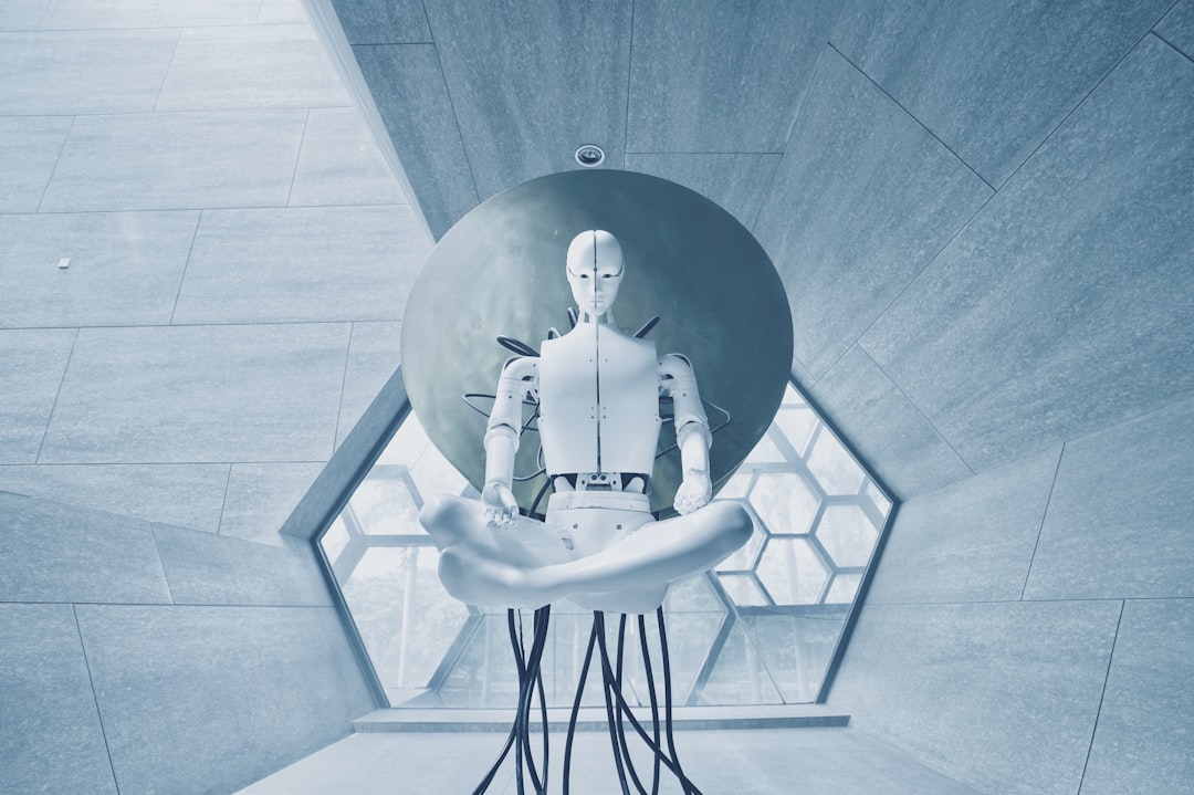 Robots Colaborativos
